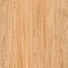 Gạch men sứ 60x60 Prime Digit 03.600600.09035